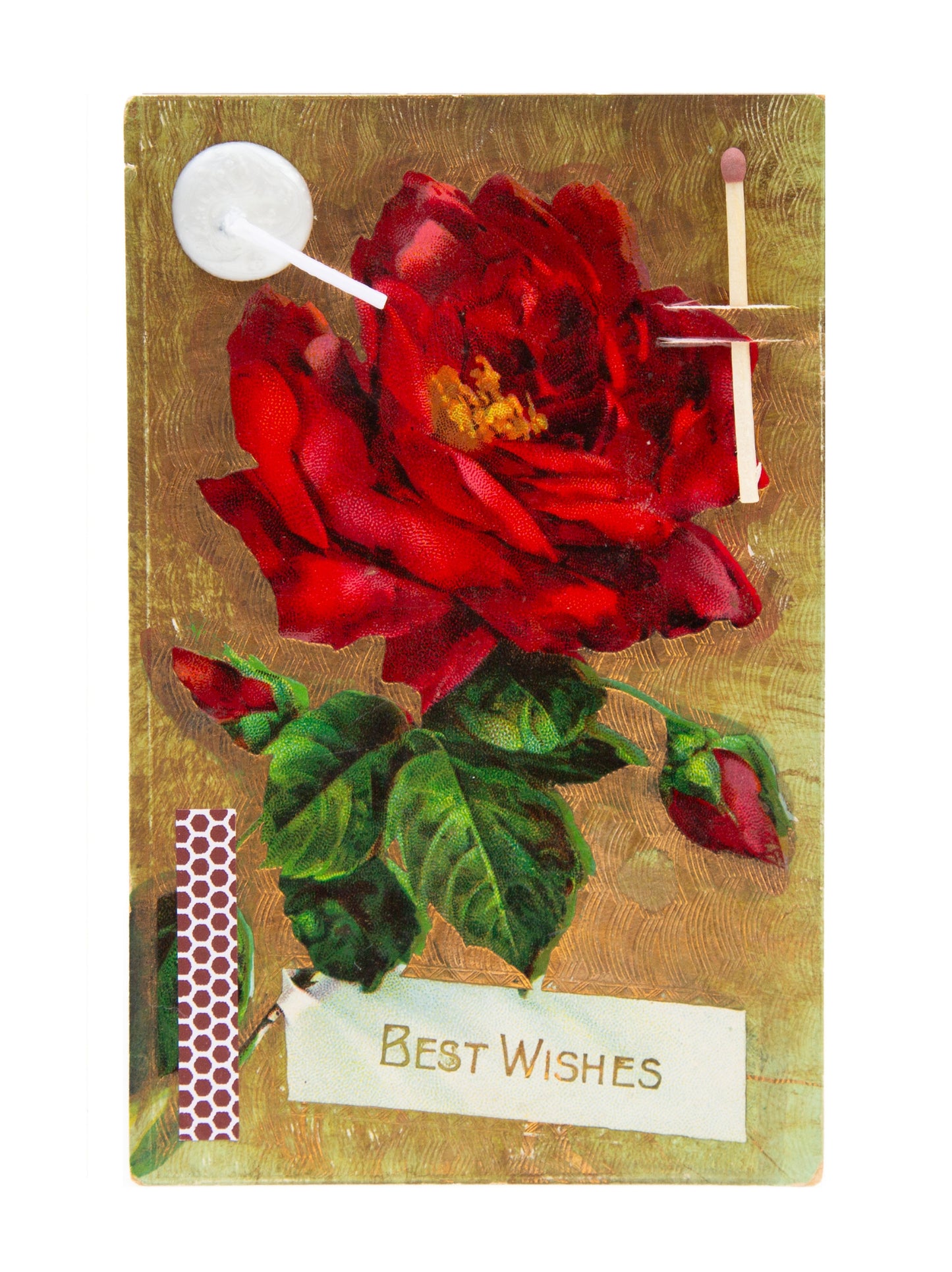 Wish Rose