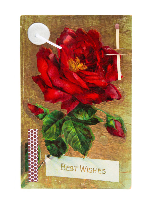 Wish Rose