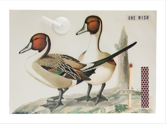 Image of the wish card, Paire de Canards