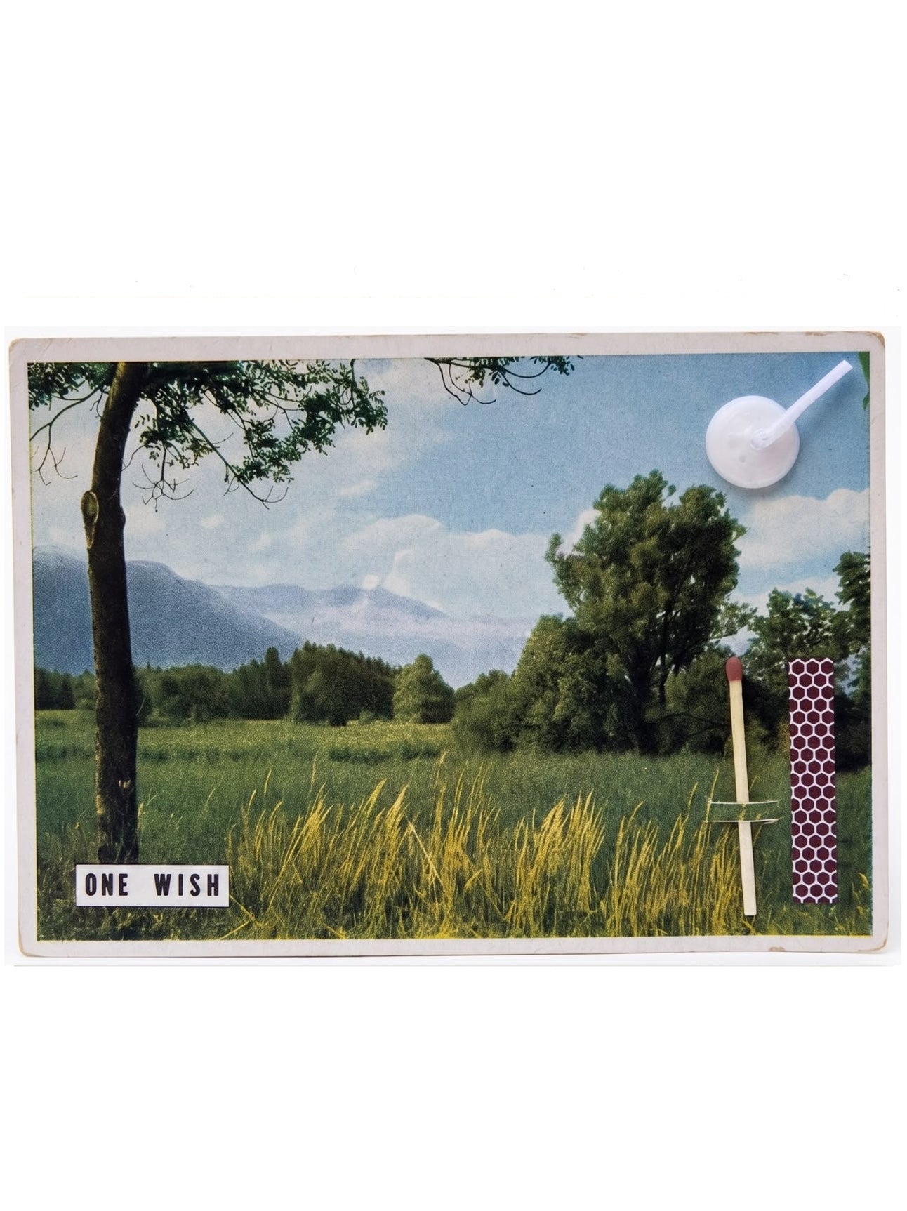 The Meadow