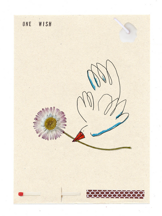 Image of the wish card, Daisy Bird